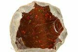 Huge, Ethiopian Chocolate Opal Nodule - Yita Ridge #367223-2